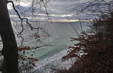 Reiterhof Groß Stubben - Foto 30