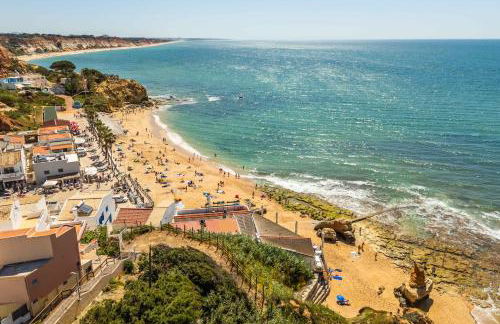 T2 Eucalipto 2A by Algarneto - Foto 21