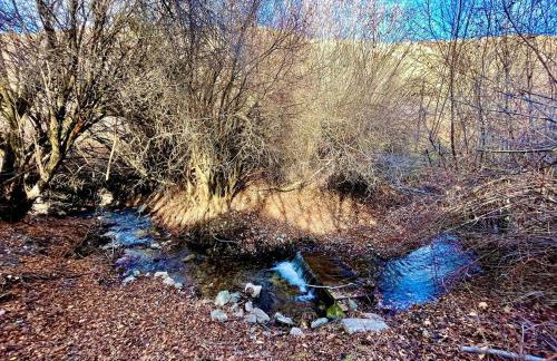 Large Off-Grid Luxury Cabin- creek land & views - Foto 58