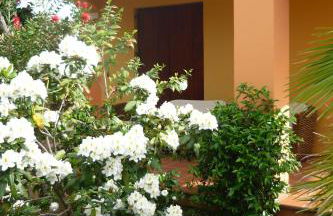 VILLA REMILIA a 600 m dal mare di Tortolì - Foto 6