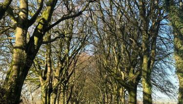 Moorleigh House Entire Property Sleeps 10 - Foto 3