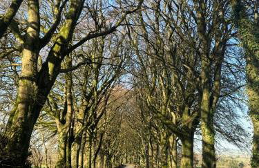 Moorleigh House Entire Property Sleeps 10 - Foto 3