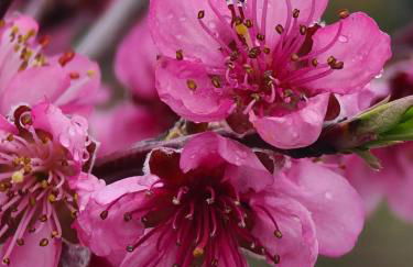 Casa Vista da Serra - Covilhã - Foto 9