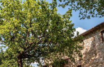 Il Colombaio Agriturismo - Foto 56