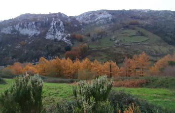 Ondarbaso Apartamentos Rurales III - Foto 30