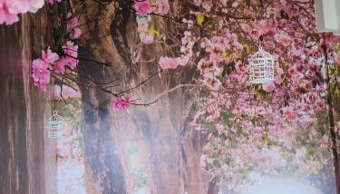 Sueños de Orive. Con piscina y wifi. Casco antiguo. - Foto 3