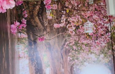 Sueños de Orive. Con piscina y wifi. Casco antiguo. - Foto 3