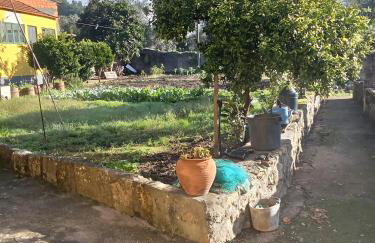 Df Alojamentos e Suites - Photo 33