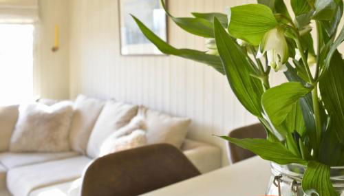 Lavender Lodge - Foto 5