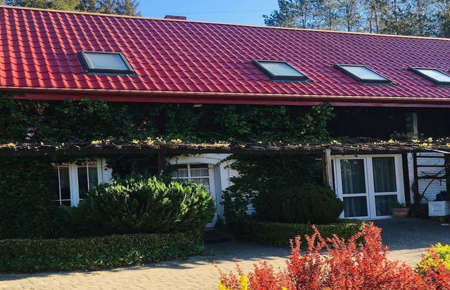 Holiday Home in Rozewko With Pool and Orchard - Photo 21