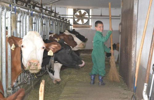 Gruberhof - Photo 12