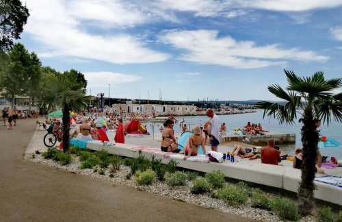 Apartman Tri palme - Foto 26