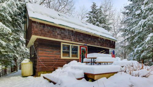 Cozy Ski Retreat! 3 Mi to Okemo Mtn Slopes - Foto 5