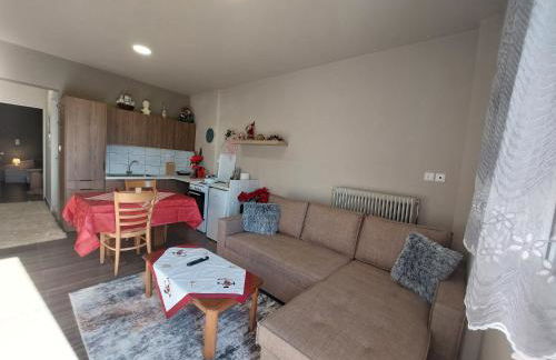 River Studio - Photo 4