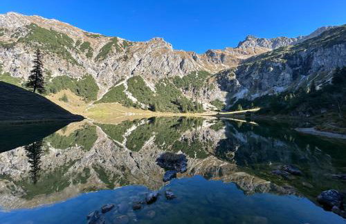 FeWo "Fräulein-Fink" bei Oberstaufen im Allgäu - Alpsee 5 Min - neue großzügige Südterrasse mit Garten - gratis WLAN - Waschmaschine - Garage mit Wallbox - Foto 44
