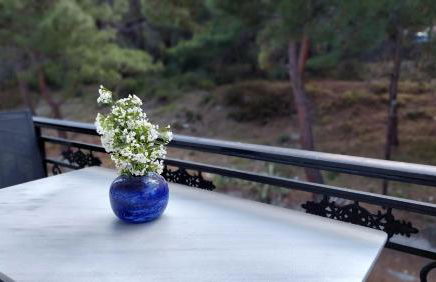 Evaggelia's Seaside Boutique Apartment - Foto 20