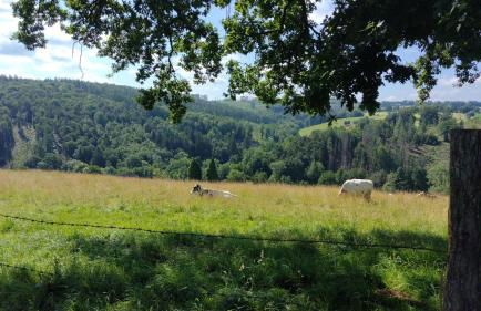 Am Bergischen Panoramasteig - Foto 30