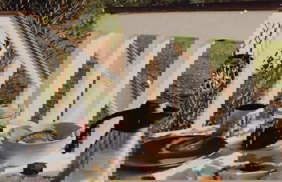 Tiny House Garden - Praia Grande - SC - Foto 67