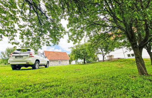 Grga's Villa - Photo 31