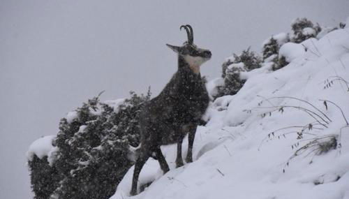 village house - Foto 2