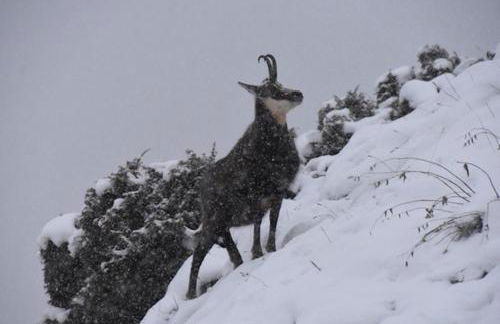 village house - Foto 2