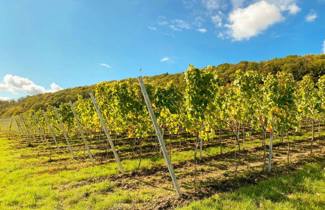 Holiday Apartment Faller-greiner - Photo 8