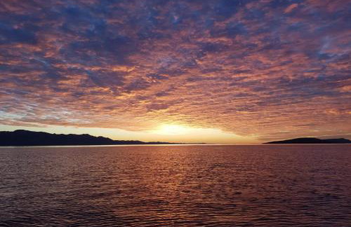 Apartments Latkovic - Photo 45