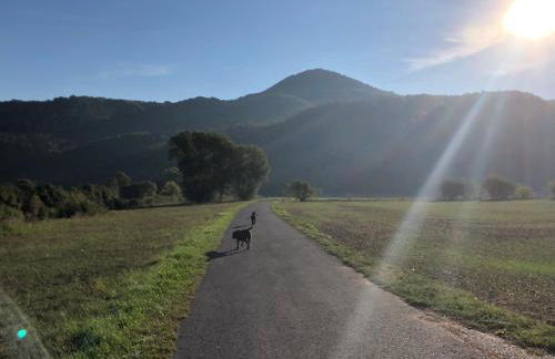 Ferienhaus "Ahle Schinn" - Foto 51