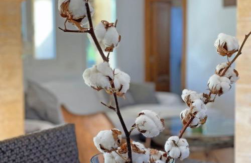 Finca Caseta Des Pradi Biel - Foto 18