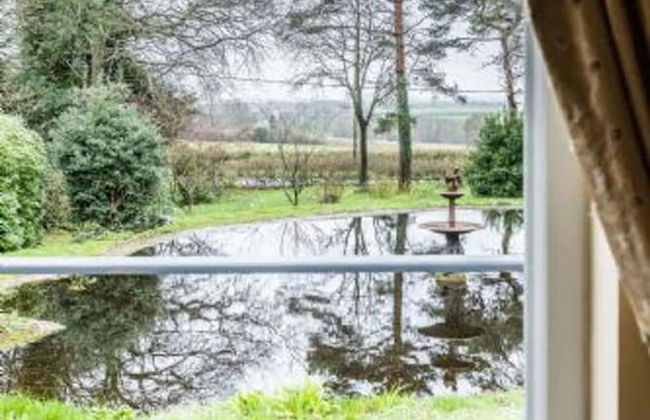 Host Stay The Orpington Garden Studio - Foto 32