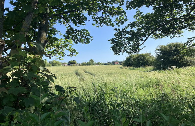 Luxury Glamping Pod With Hot Tub, Fees Apply - Foto 13