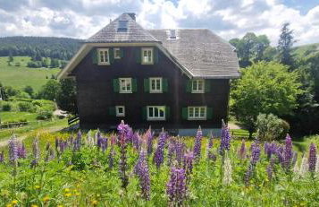 theBlackwood - Foto 24