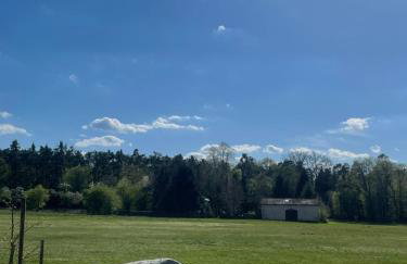 Siedlisko Mokra - Leśniczówka pod Jaworem - Foto 25