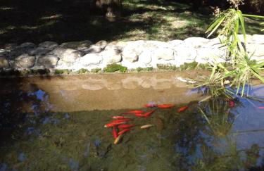 Pò delle Buche - Photo 29