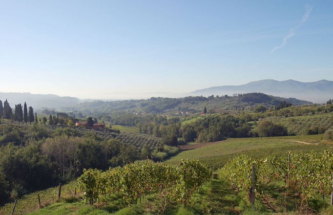 Fattoria di Fubbiano - Photo 13