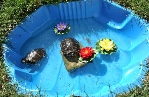 Villa Tomislav 2 - Foto 38