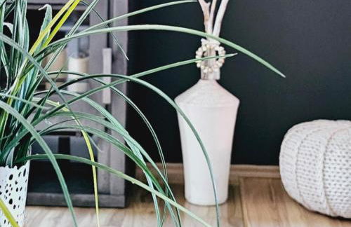 KleinAberFein an der Nordseeküste - Foto 13