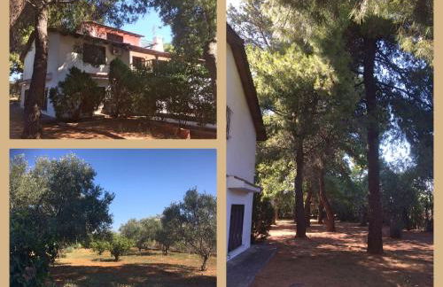 Seaside Villa in Alikes, Chalkida - Foto 11