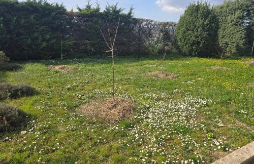 15 min A7, idéal Pro, Nuit Étape & invités événement - Foto 4