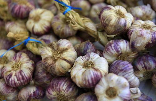 LE GRAND PARIS LA MAISON DE VACANCES - Foto 27