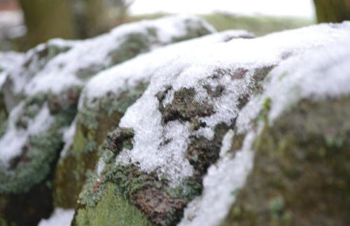 Orchard Cottage 5 bedrooms - Foto 32