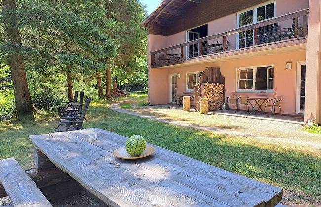 Apartment in a Charming Location on Forellenhof, Zorn Valley, Dabo - Foto 59