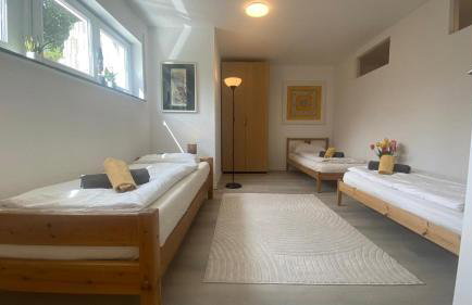 2 Schlafzimmer Apartment, Küche u Terrasse in Freiburg - Foto 2