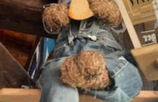 Gaststätte und Pension Zur Schiene - Foto 19