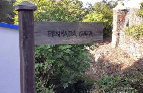 Casa do Pássaro - Foto 69