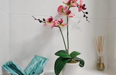 3 pokoje koło Parku przy Żwirki - Photo 12