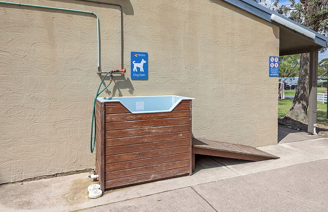 Reflections Eden - Holiday Park - Photo 43