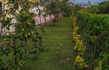 Casa Vacanze Paradise - Photo 68