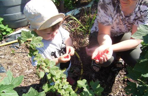 Hanauerhof - Foto 19
