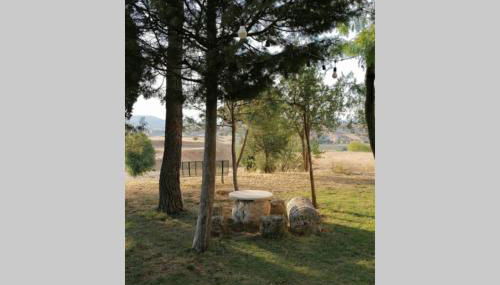 Puerta Laguna - Casa con parcela - Foto 5